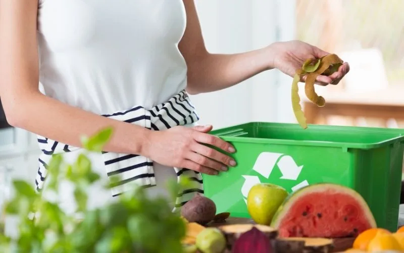 Kompost, czyli naturalne dobro dla naszych roślin! Jak zrobić kompost w domowych warunkach? 1