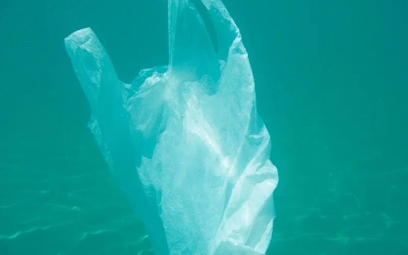 Plastik - zagrożenie życia i zdrowia dla całego środowiska przyrodniczego 2