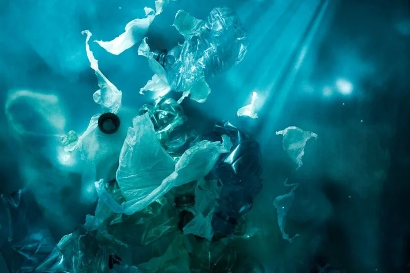 Plastik – zagrożenie życia i zdrowia dla całego środowiska przyrodniczego