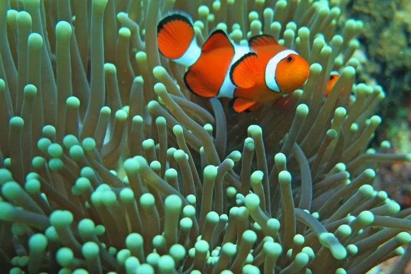 Co zwiedzić na Filipinach? Te eko-przygody to najlepszy sposób na ich poznanie! 1