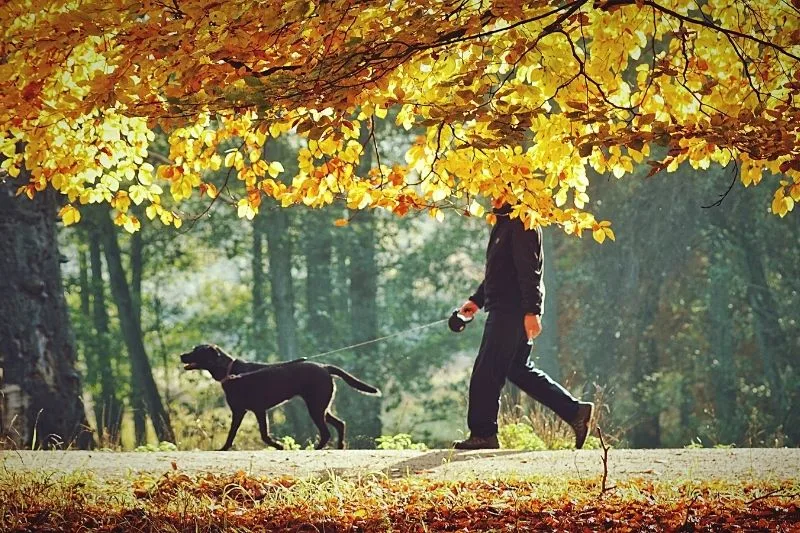 5 sposobów, aby pomóc sobie, a przy okazji naszej planecie 3