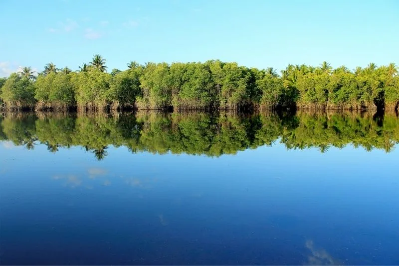Co zwiedzić na Filipinach? Te eko-przygody to najlepszy sposób na ich poznanie! 4