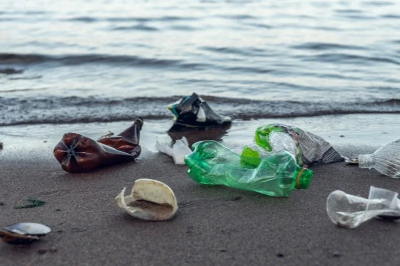 Zanieczyszczenia wód - co jest główną przyczyną i jakie są tego skutki? 3