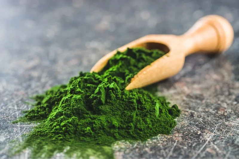 Chlorella, czyli rodzaj alg, który jest niesamowicie dobry dla naszego zdrowia! Sprawdź, jak ją stosować! 1