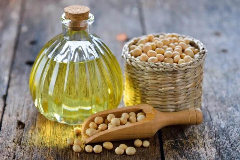 Soja - czy faktycznie jest taka zdrowa jak myślimy? Co kryje się za tym produktem? 2
