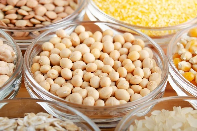 Soja - czy faktycznie jest taka zdrowa jak myślimy? Co kryje się za tym produktem? 3