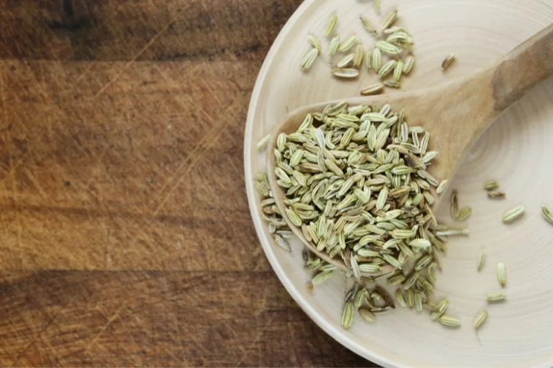 Nasiona kopru włoskiego jako remedium na odchudzanie. Oto 11 korzyści z ich stosowania 3